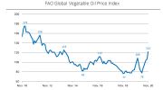 糧農組織植物油價格指數創多年新高
