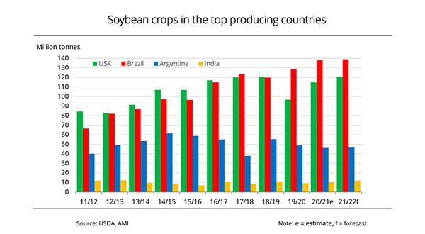 巴西和阿根廷開始增加大豆生產
